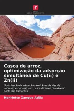 Casca de arroz, optimização da adsorção simultânea de Cu(ii) e Zn(ii) - Zangue Adjia, Henriette