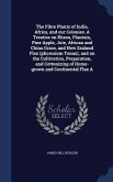 The Fibre Plants of India, Africa, and our Colonies. A Treatise on Rheea, Plantain, Pine Apple, Jute, African and China Grass, and New Zealand Flax (p