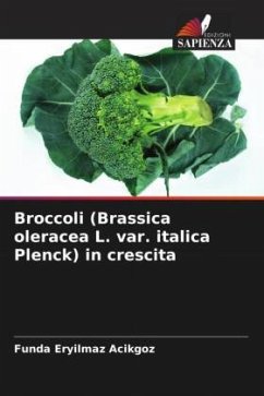 Broccoli (Brassica oleracea L. var. italica Plenck) in crescita - Eryilmaz Acikgoz, Funda