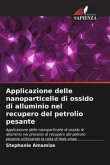 Applicazione delle nanoparticelle di ossido di alluminio nel recupero del petrolio pesante
