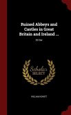 Ruined Abbeys and Castles in Great Britain and Ireland ...: 2D Ser