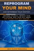 Reprogram Your Mind and Determine Your Destiny (Reengineering and Mental Reprogramming, #7) (eBook, ePUB)