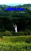 Killer View (eBook, ePUB) Killer View (eBook, ePUB)