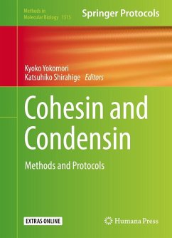 Cohesin and Condensin (eBook, PDF)
