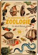 Die wunderbare Welt der Zoologie - Bild 1