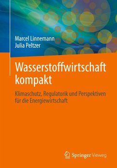 Wasserstoffwirtschaft kompakt - Linnemann, Marcel;Peltzer, Julia