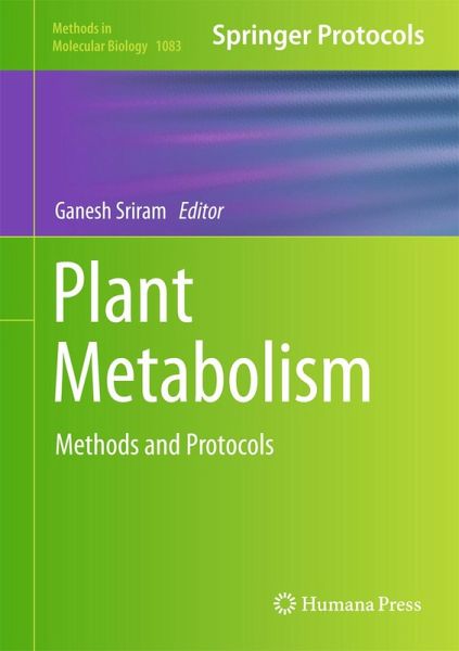 Plant Metabolism (eBook, PDF)