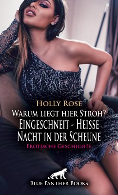 Warum liegt hier Stroh? Eingeschneit - Heiße Nacht in der Scheune   Erotische Geschichte (eBook, PDF) - Rose, Holly