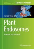 Plant Endosomes (eBook, PDF)
