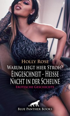 Warum liegt hier Stroh? Eingeschneit - Heiße Nacht in der Scheune   Erotische Geschichte (eBook, ePUB) - Rose, Holly