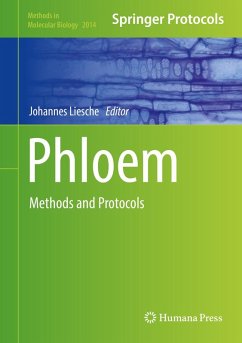 Phloem (eBook, PDF)