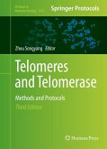 Telomeres and Telomerase (eBook, PDF)