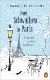 Zwei Schwalben in Paris (eBook, ePUB)