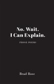 No. Wait. I Can Explain. (eBook, ePUB)