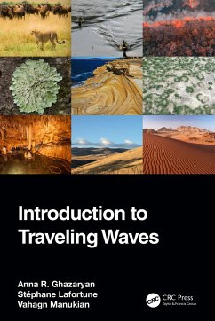 Introduction to Traveling Waves - Ghazaryan, Anna R.; Lafortune, Stephane (College of Charleston, USA); Manukian, Vahagn (Miami University, USA)