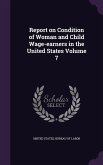 Report on Condition of Woman and Child Wage-earners in the United States Volume 7