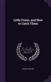 Little Foxes, and How to Catch Them