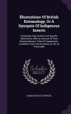 Illustrations Of British Entomology, Or A Synopsis Of Indigenous Insects: Containing Their Generic And Specific Distinctions, With An Account Of Their