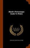 Black's Picturesque Guide To Wales