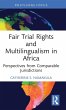 Fair Trial Rights and Multilingualism... - Bild 1