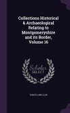 Collections Historical & Archaeological Relating to Montgomeryshire and its Border, Volume 16