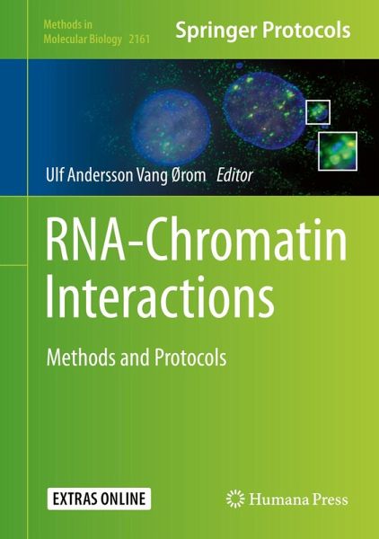 RNA-Chromatin Interactions (eBook, PDF)