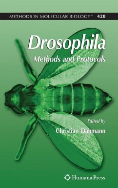 Drosophila (eBook, PDF)