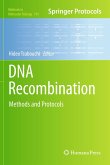 DNA Recombination (eBook, PDF)