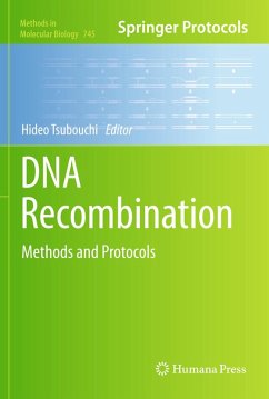 DNA Recombination (eBook, PDF)