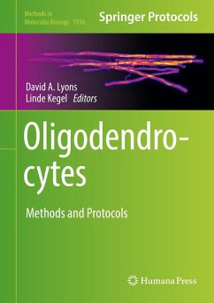 Cover Oligodendrocytes (eBook, PDF)