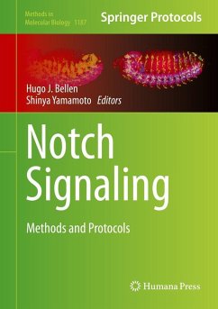 Cover Notch Signaling (eBook, PDF)