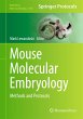 Mouse Molecular Embryology (eBook, PDF) - Bild 1
