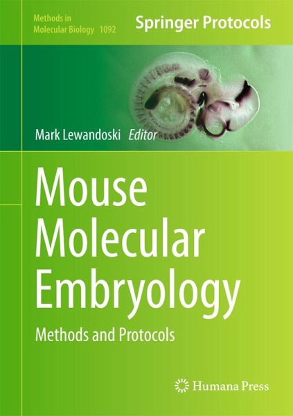 Mouse Molecular Embryology (eBook, PDF) Mouse Molecular Embryology (eBook, PDF)