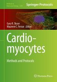 Cardiomyocytes (eBook, PDF)
