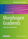 Morphogen Gradients (eBook, PDF)