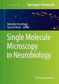 Single Molecule Microscopy in Neurobiology (eBook, PDF)