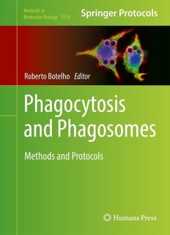 Cover Phagocytosis and Phagosomes (eBook, PDF)