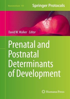 Prenatal and Postnatal Determinants of Development (eBook, PDF)