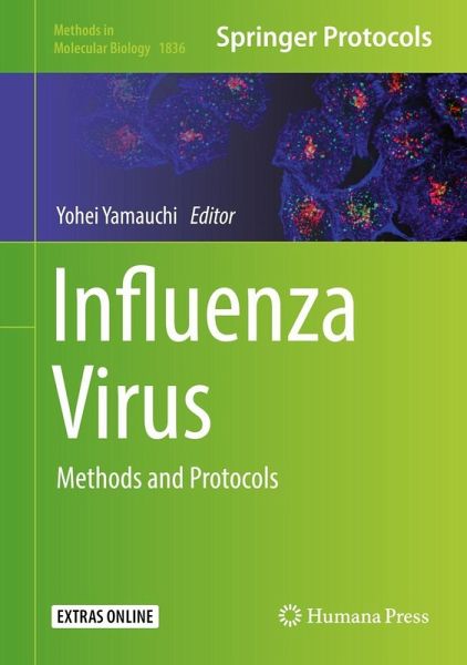 Influenza Virus (eBook, PDF)