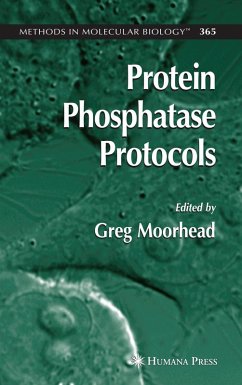 Protein Phosphatase Protocols (eBook, PDF)