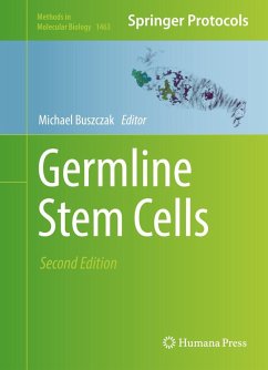 Cover Germline Stem Cells (eBook, PDF)
