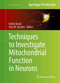 Techniques to Investigate Mitochondrial Function in Neurons (eBook, PDF)