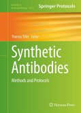 Synthetic Antibodies (eBook, PDF)
