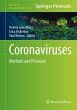 Coronaviruses (eBook, PDF) - Bild 1