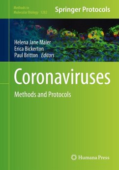 Cover Coronaviruses (eBook, PDF)