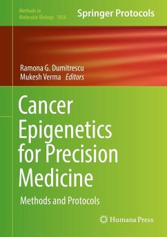Cover Cancer Epigenetics for Precision Medicine (eBook, PDF)