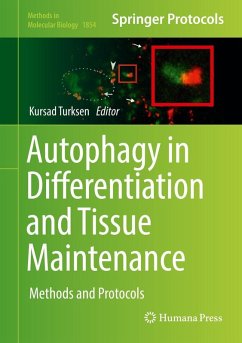 Cover Autophagy in Differentiation and Tissue Maintenance (eBook, PDF)