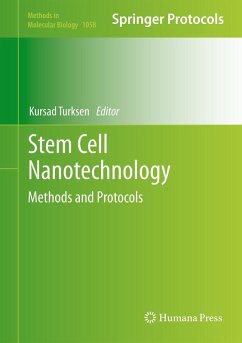 Stem Cell Nanotechnology (eBook, PDF)