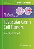 Testicular Germ Cell Tumors (eBook, PDF)