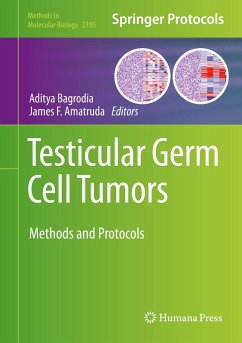 Testicular Germ Cell Tumors (eBook, PDF)